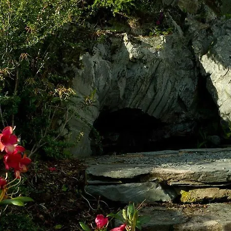 Dom wakacyjny White Lion